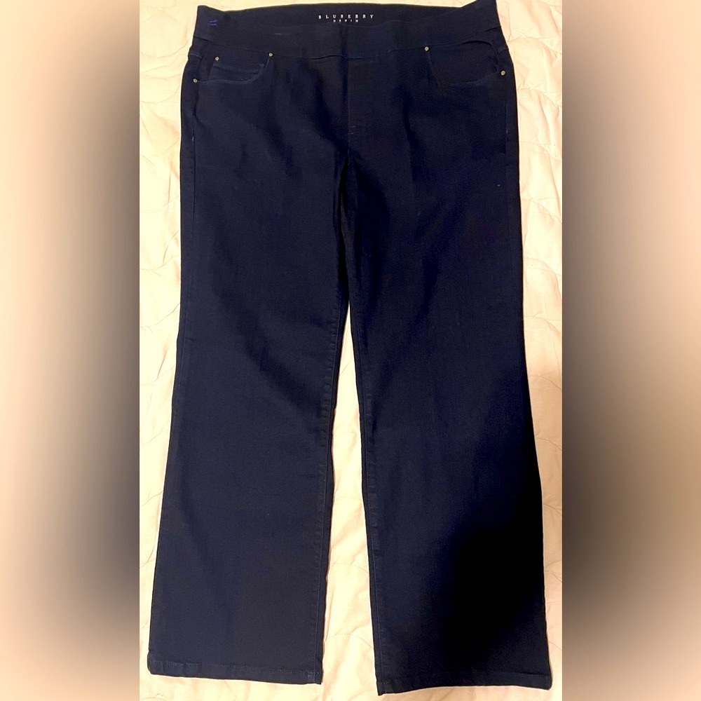NWT Bluberry Denim Elastic Waistband Straight Leg Lily size 18W Dark Wash Jean